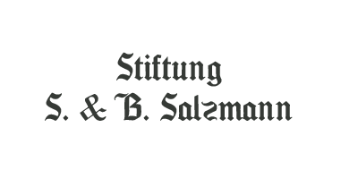 stiftung salzmann